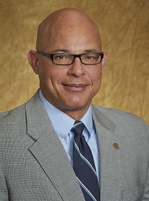 Mr. Stephan H. Fluhler
