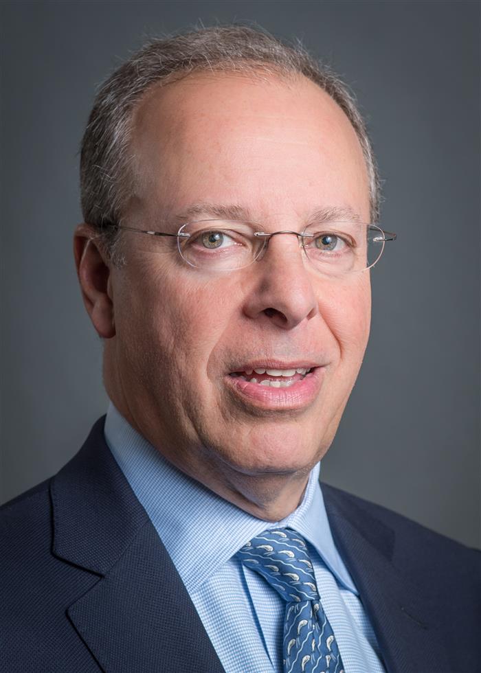 Mr. Richard I. Goldstein