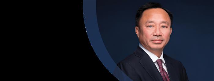 Mr. Viet D. Dinh