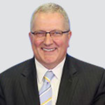 Mr. David P. Luci CPA