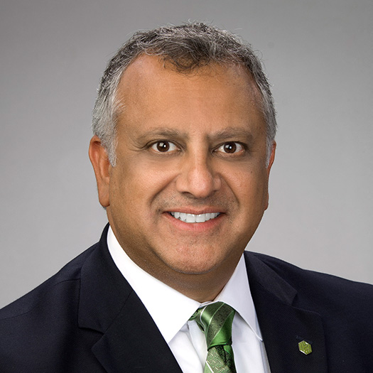 Mr. Rajeev Syal